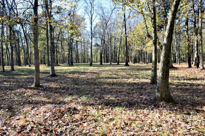 1655 Bob Davis Road Lewisburg, TN 37091 - Photo 15 of 27 Gallery Image 15