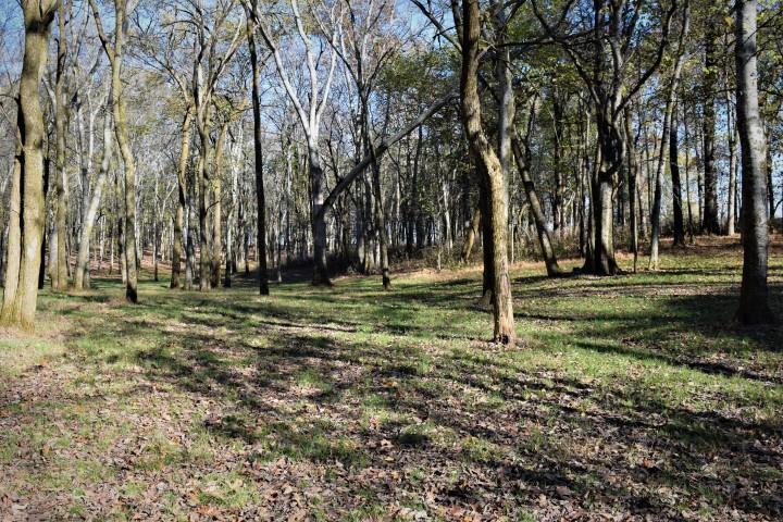 1655 Bob Davis Road Lewisburg, TN 37091 - Photo 16 of 27 Gallery Image 16