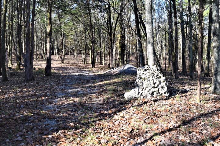 1655 Bob Davis Road Lewisburg, TN 37091 - Photo 18 of 27 Gallery Image 18