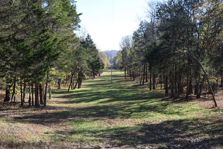 1655 Bob Davis Road Lewisburg, TN 37091 - Photo 8 of 27 Gallery Image 8