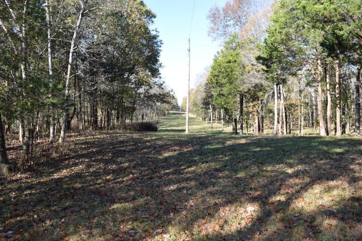 1655 Bob Davis Road Lewisburg, TN 37091 - Photo 10 of 27 Gallery Image 10