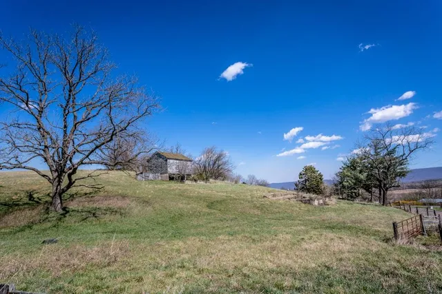 a view of a yard with a tree