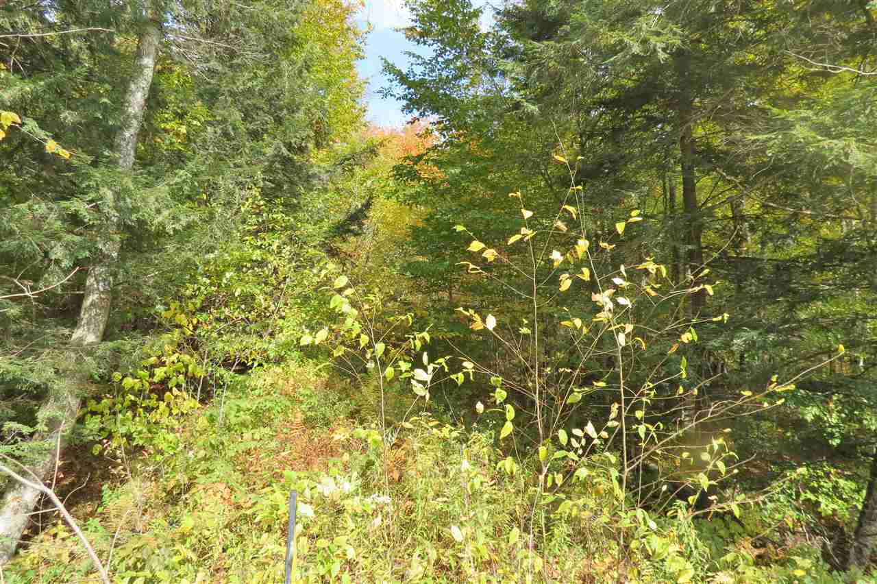 0 Town Line Road Bridgewater Corners, VT 05035 - Photo 2 of 9 Gallery Image 2