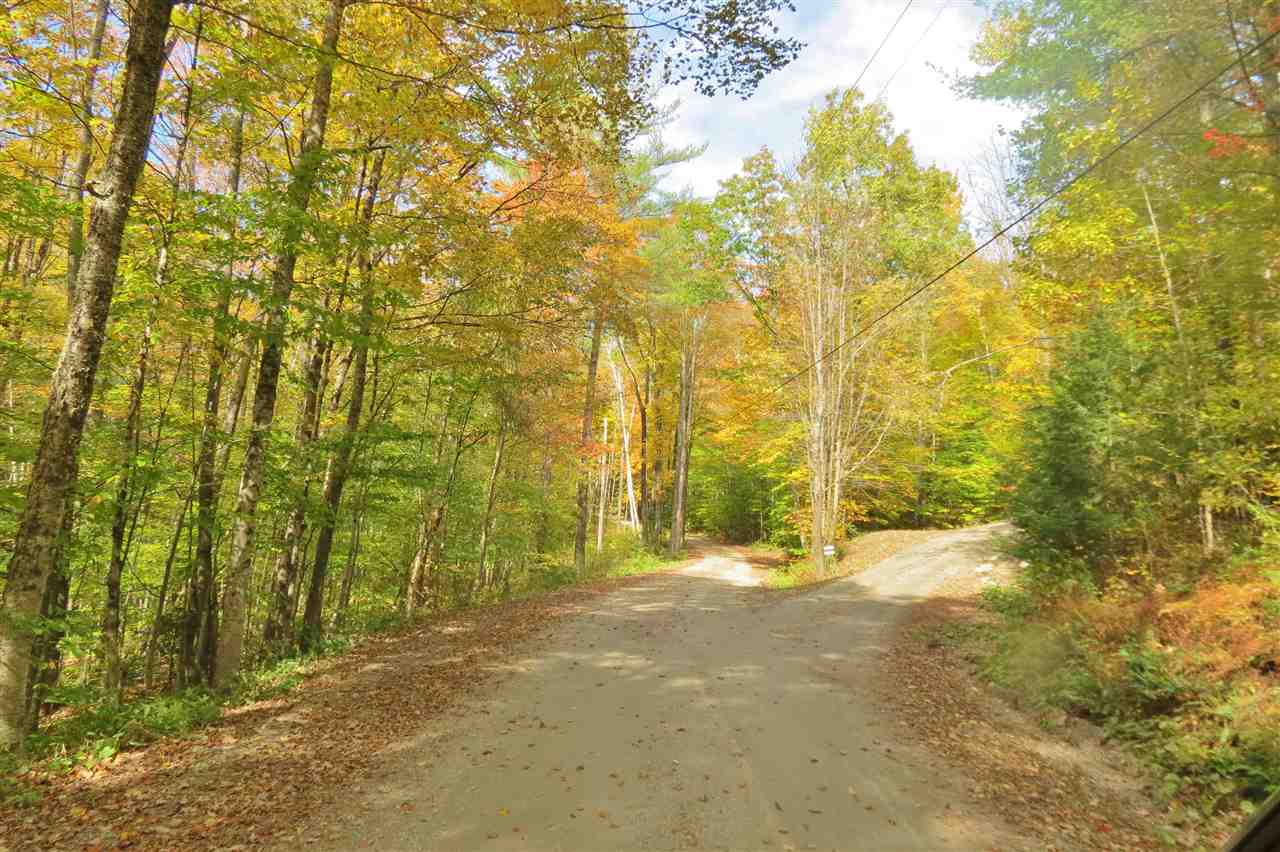 0 Town Line Road Bridgewater Corners, VT 05035 - Photo 4 of 9 Gallery Image 4