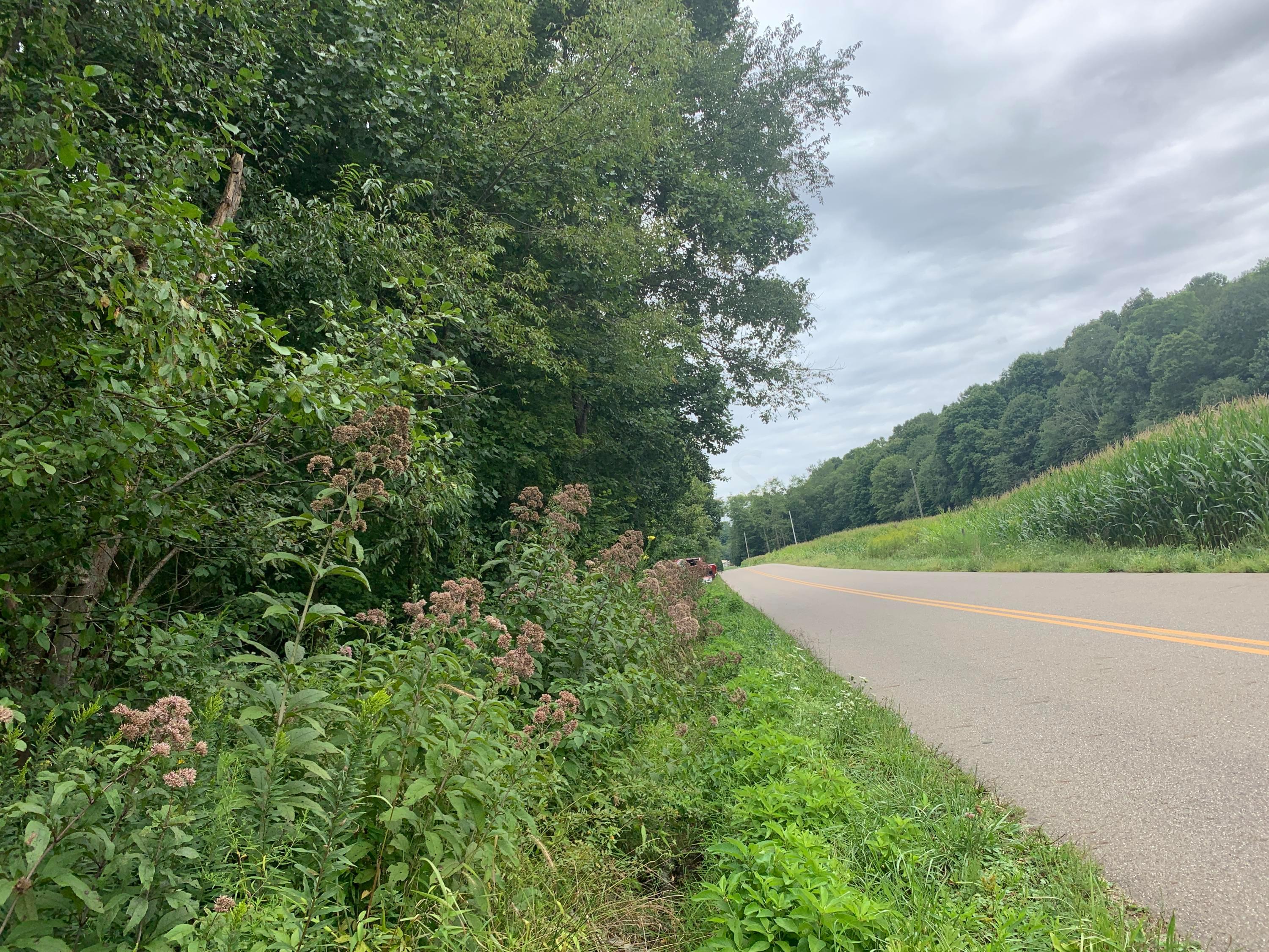 0 Cherry Run Road Northwest Strasburg, OH 44680 - Photo 27 of 35 20200831_182645024_iOS