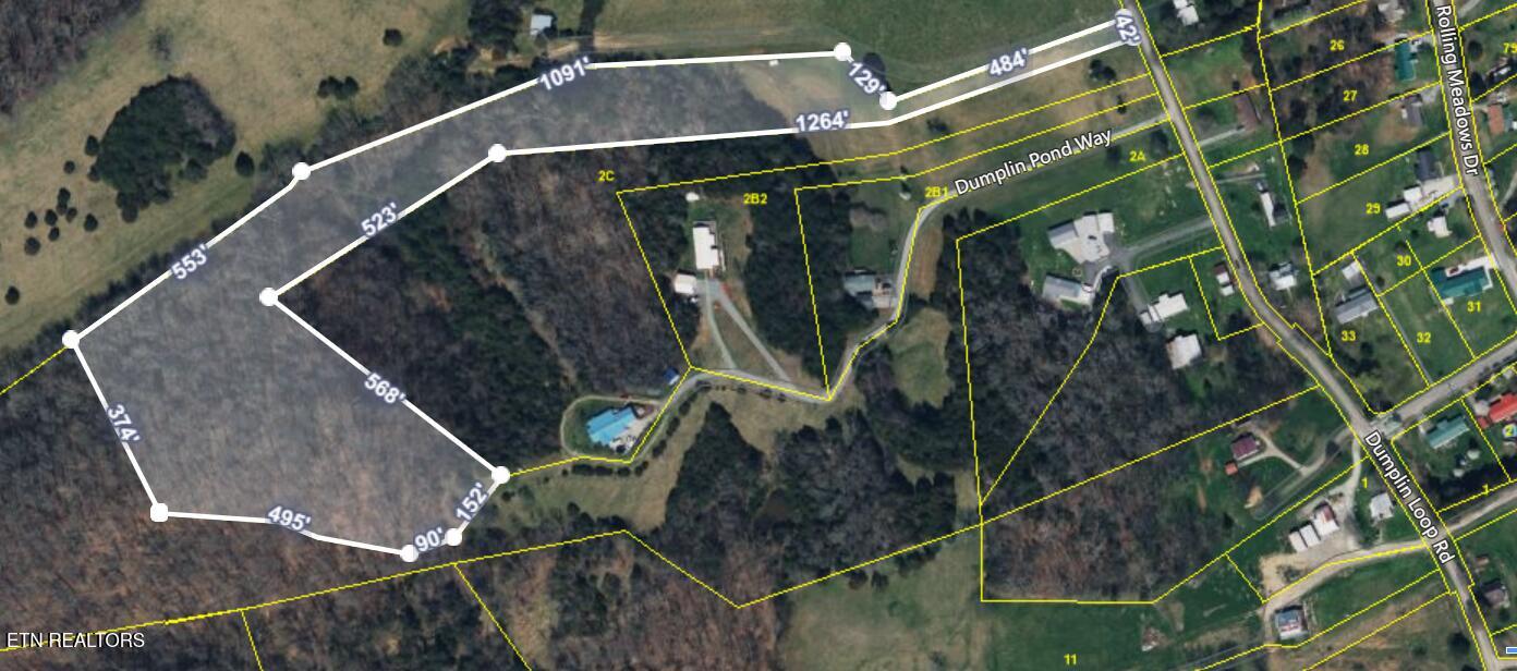 Dumplin Loop Road New Market, TN 37820 - Photo 3 of 5 Aerial with boundary lines