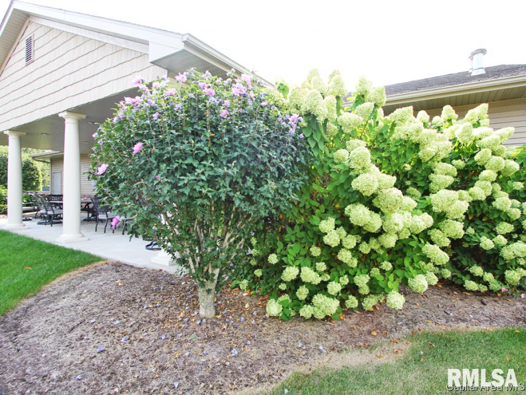 804 Colorado Court Springfield, IL 62711 - Photo 36 of 36