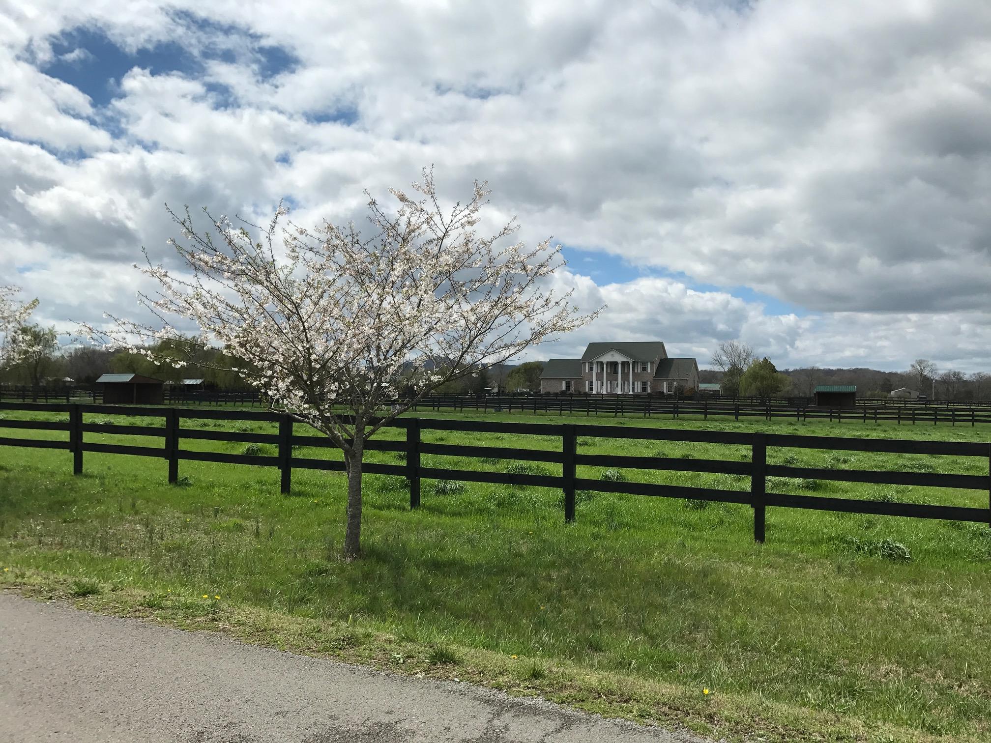 697 Swamp Road Eagleville, TN 37060 - Photo 1 of 29 Gallery Image 1