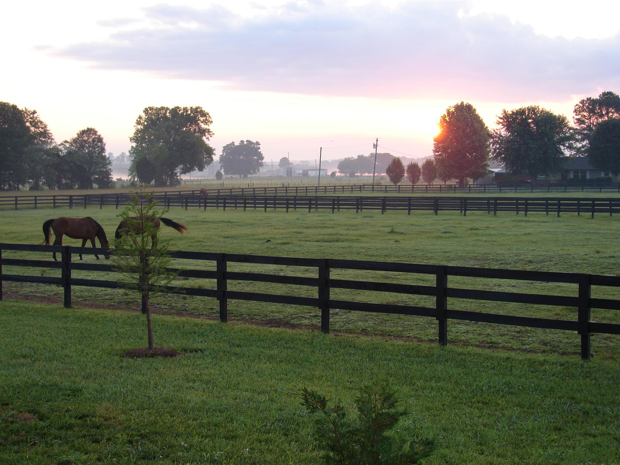 697 Swamp Road Eagleville, TN 37060 - Photo 2 of 29 Gallery Image 2