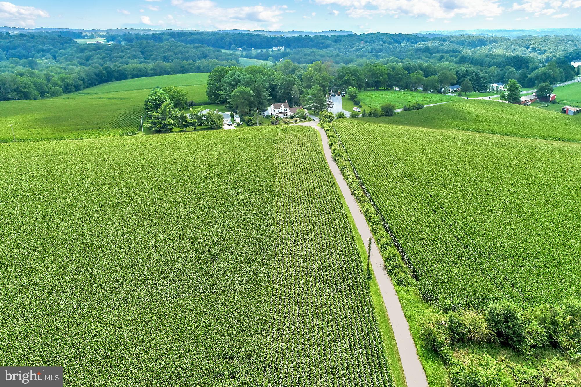 a view of a golf course with a garden