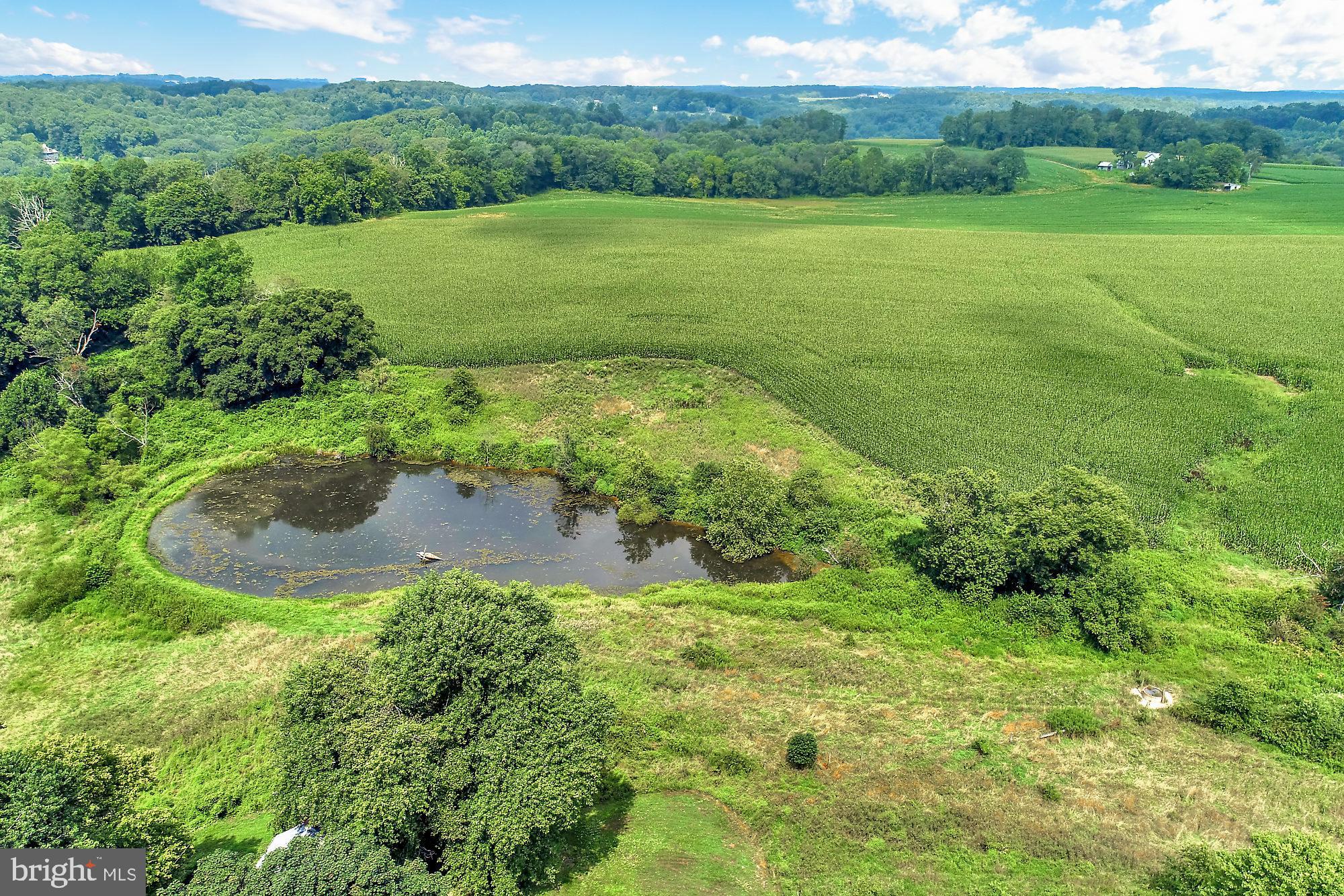 828 Wesley Road Finksburg, MD 21048 - Photo 2 of 19 a view of a grassy area with an outdoor space