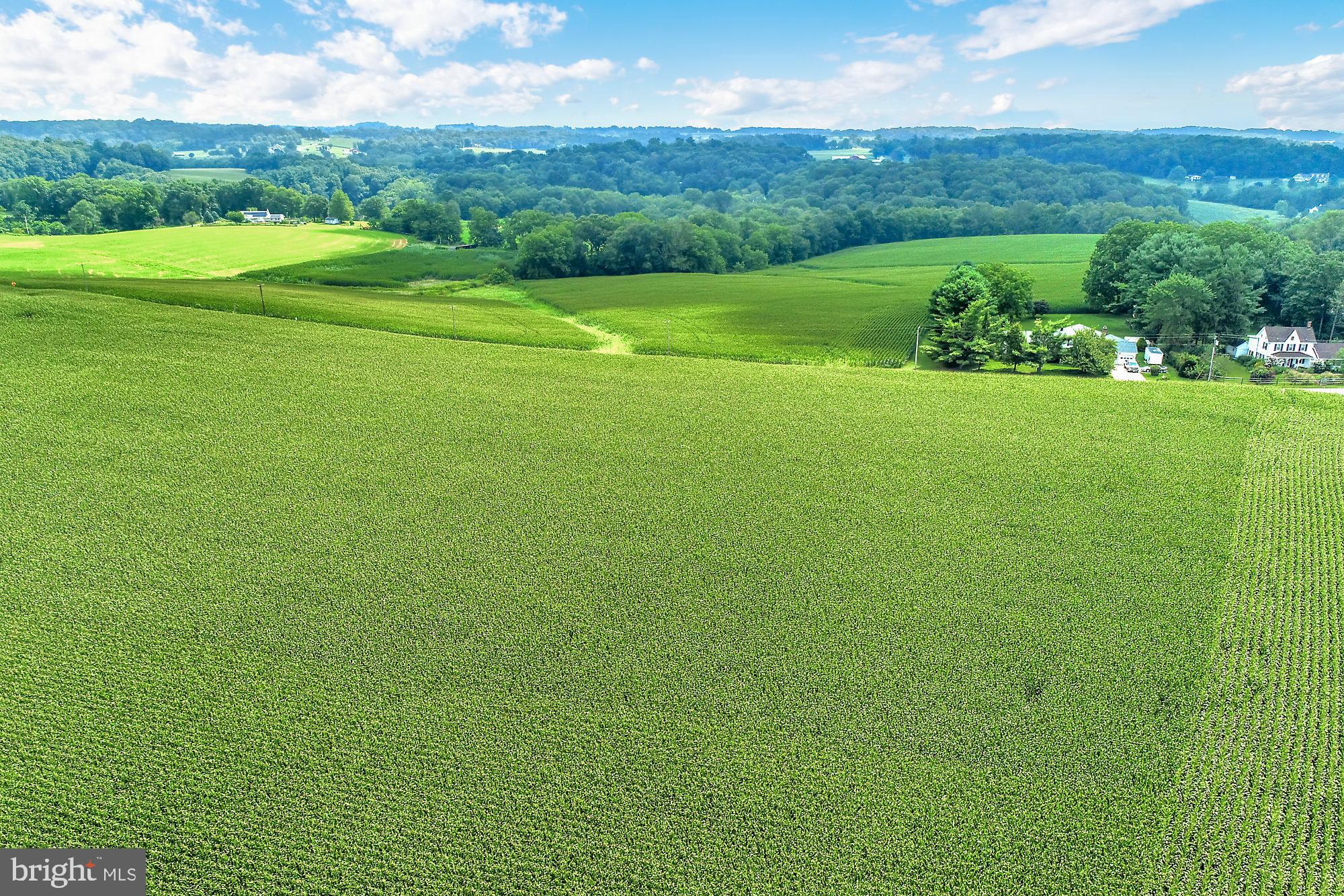 828 Wesley Road Finksburg, MD 21048 - Photo 13 of 19 a view of a big yard with large trees