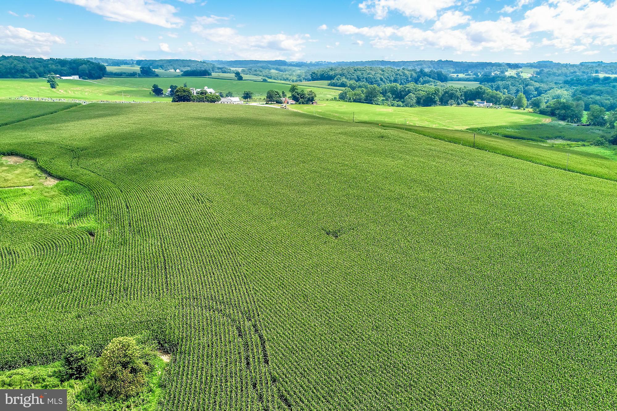 828 Wesley Road Finksburg, MD 21048 - Photo 14 of 19 a view of a golf course with a field