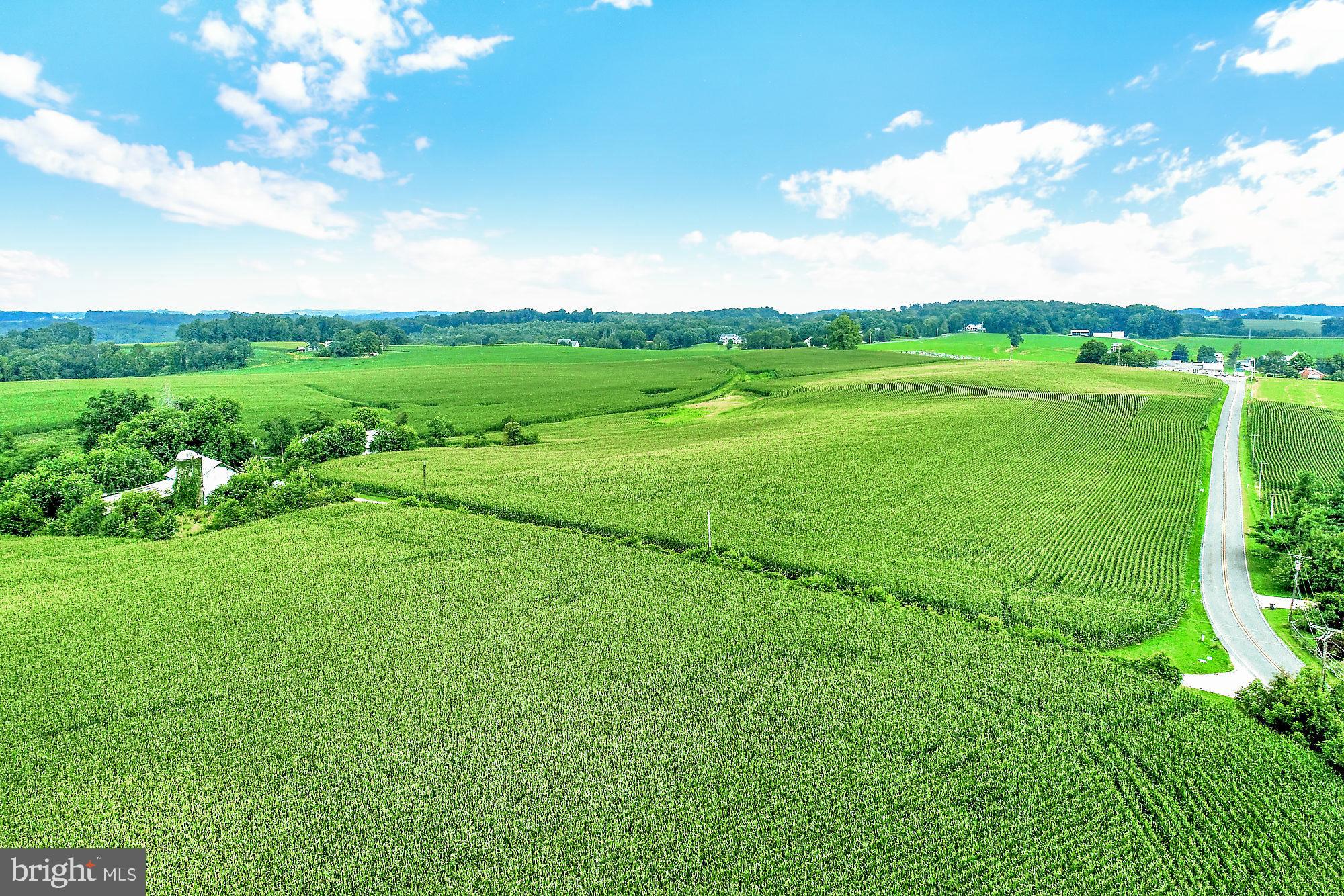 828 Wesley Road Finksburg, MD 21048 - Photo 16 of 19 a view of a lush green space