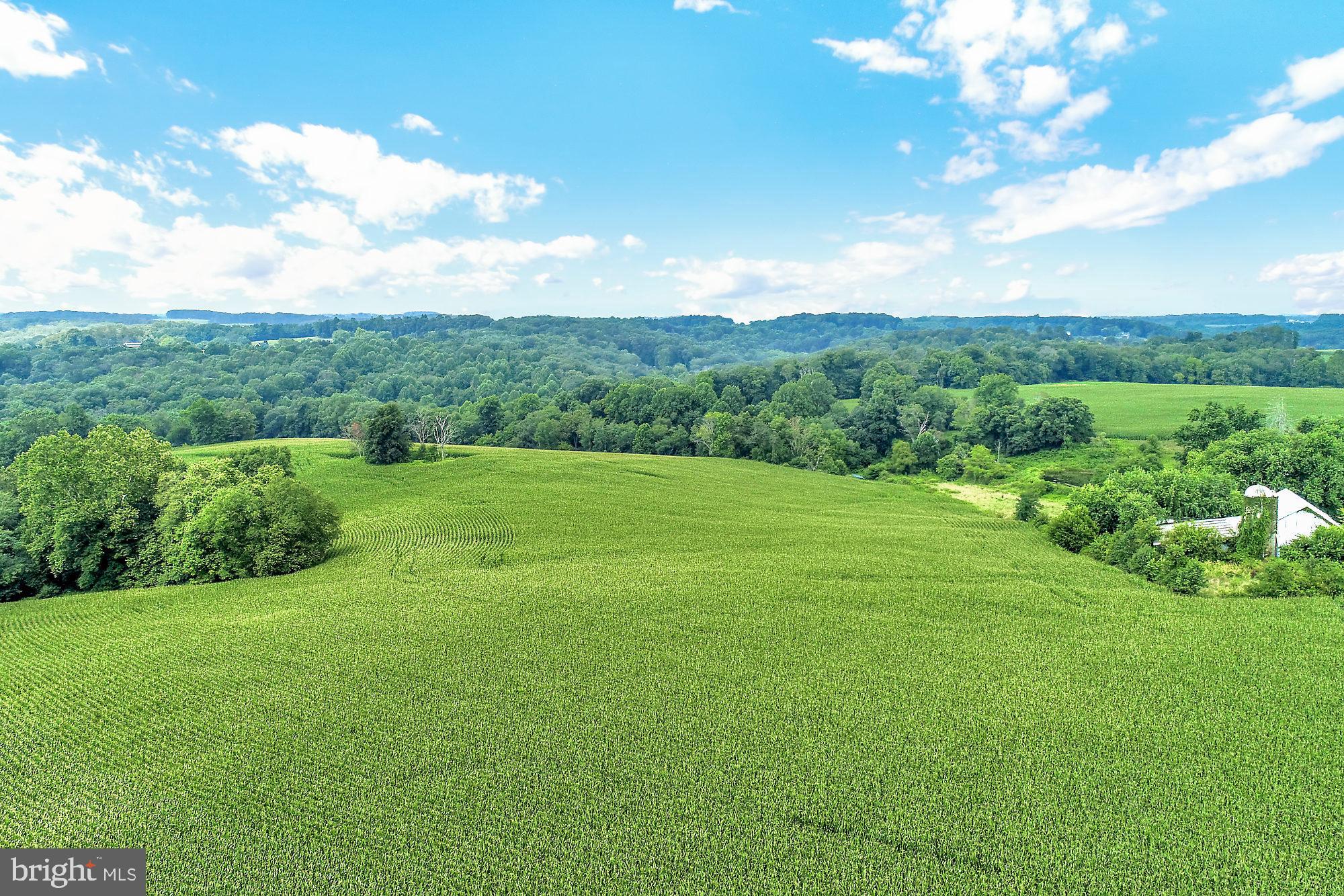 828 Wesley Road Finksburg, MD 21048 - Photo 17 of 19 a view of a grassy field with trees