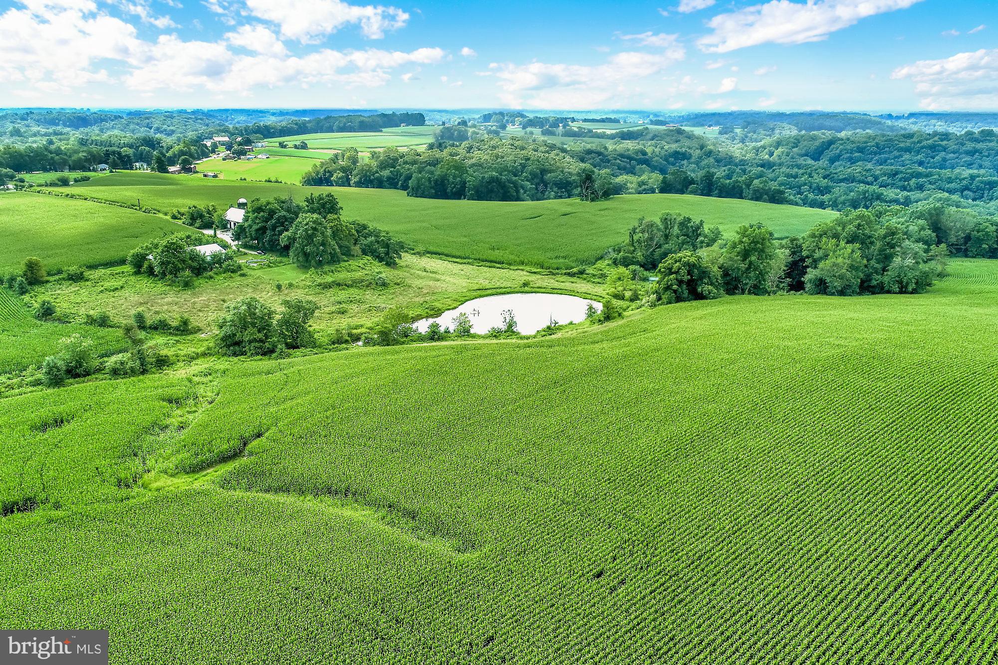 828 Wesley Road Finksburg, MD 21048 - Photo 5 of 19 a view of a green field with lots of green space