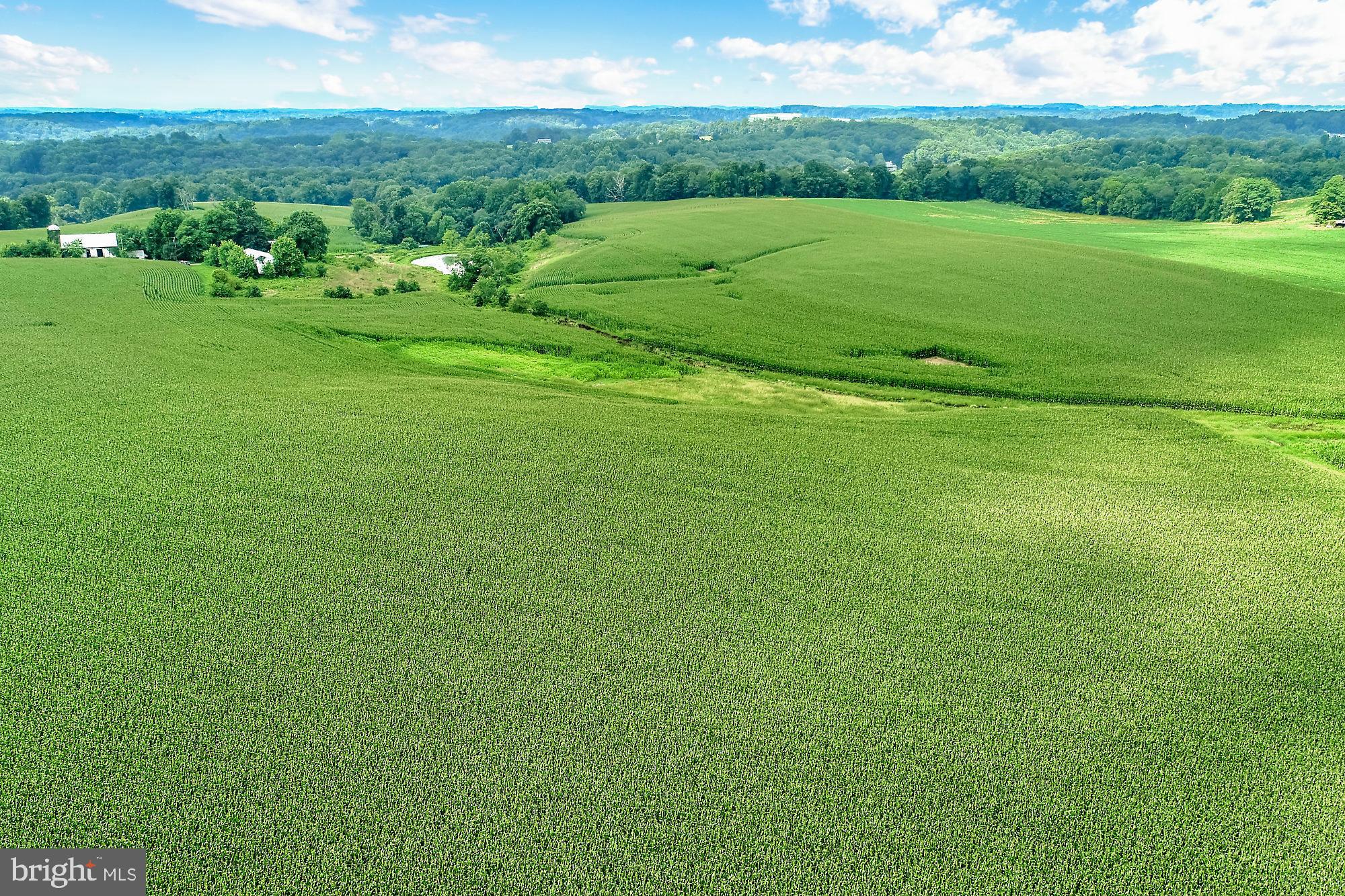 828 Wesley Road Finksburg, MD 21048 - Photo 10 of 19 a view of an outdoor space and a yard