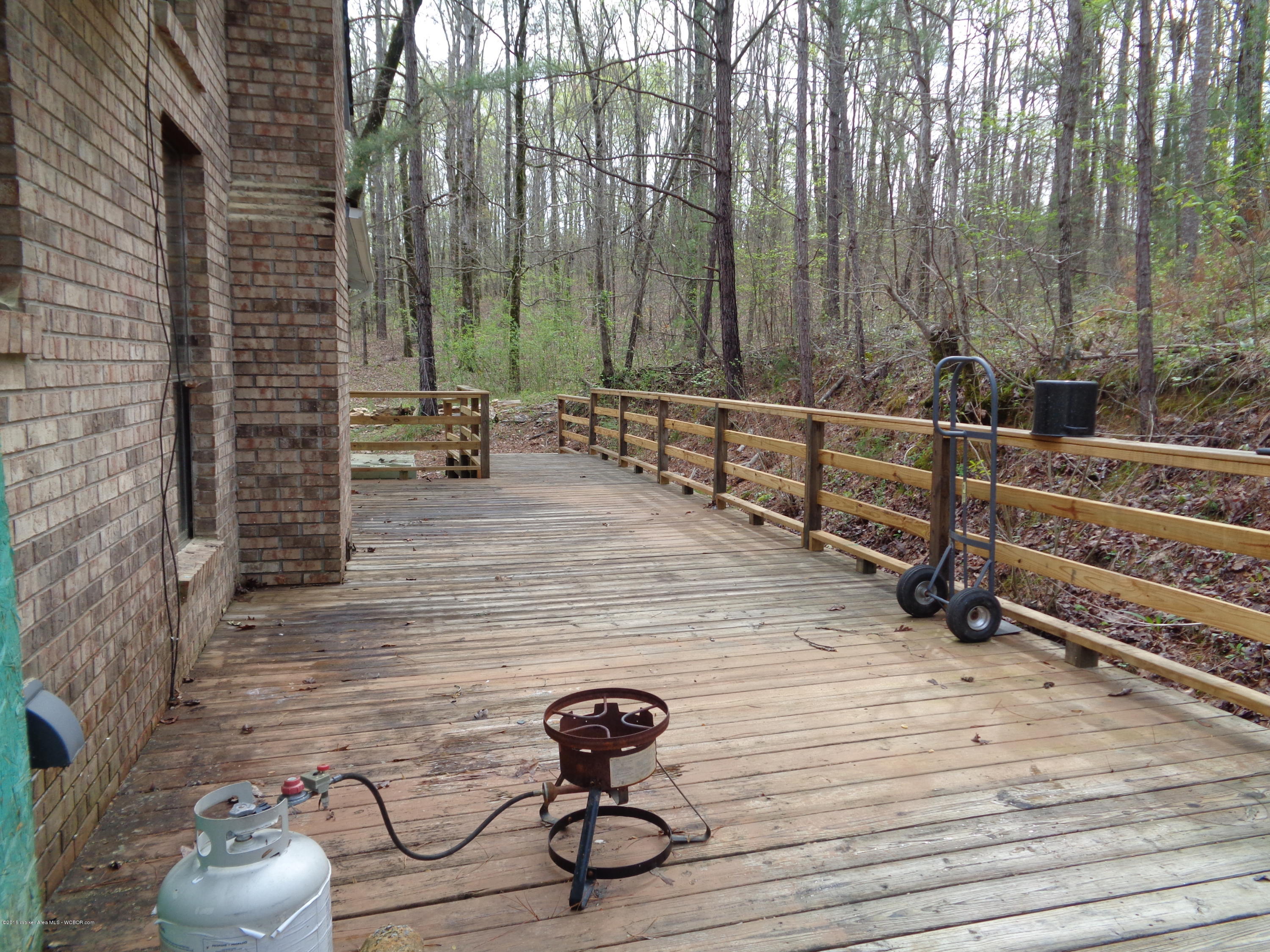 435 Williams Jasper, AL 35503 - Photo 13 of 31 Gallery Image 13