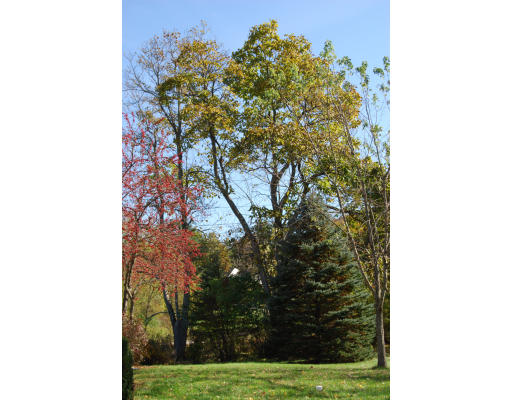 170 Westboro Road Upton, MA 01568 - Photo 3 of 15 a view of a yard