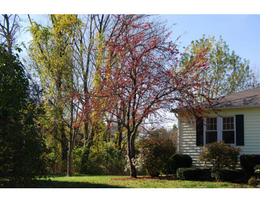 170 Westboro Road Upton, MA 01568 - Photo 4 of 15 a front view of a house with a tree