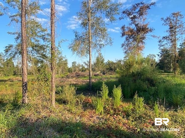 16108 Old Pierce Road Fairhope, AL 36532 - Photo 10 of 14