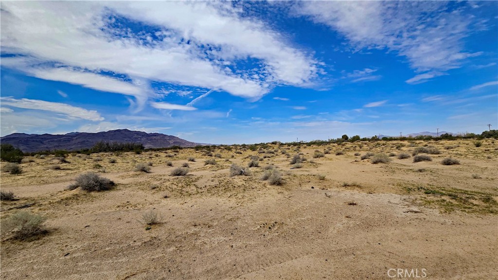 0 Fremont Road Newberry Springs, CA 92365 - Photo 3 of 33 Gallery Image 3