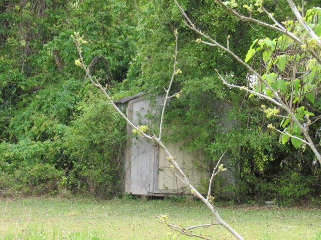 3227 Alvin Kirby Road Timmonsville, SC 29161 - Photo 77 of 77