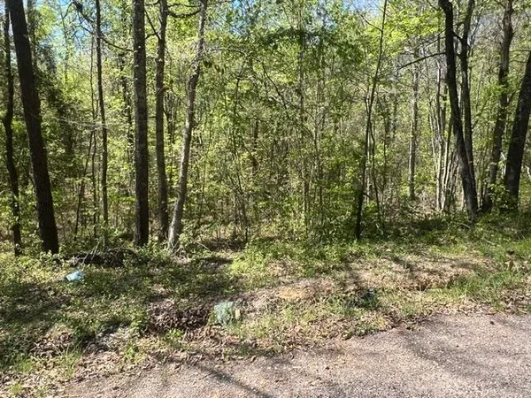 $56,900 | Hines Gin Road, Selmer, TN 38375