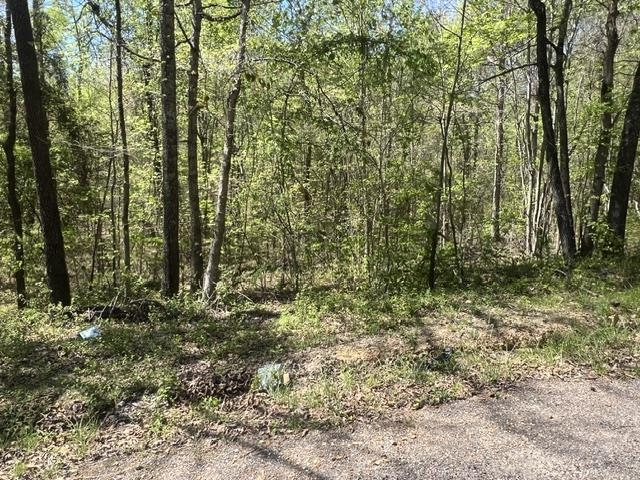 Hines Gin Road Selmer, TN 38375 - Photo 1 of 6