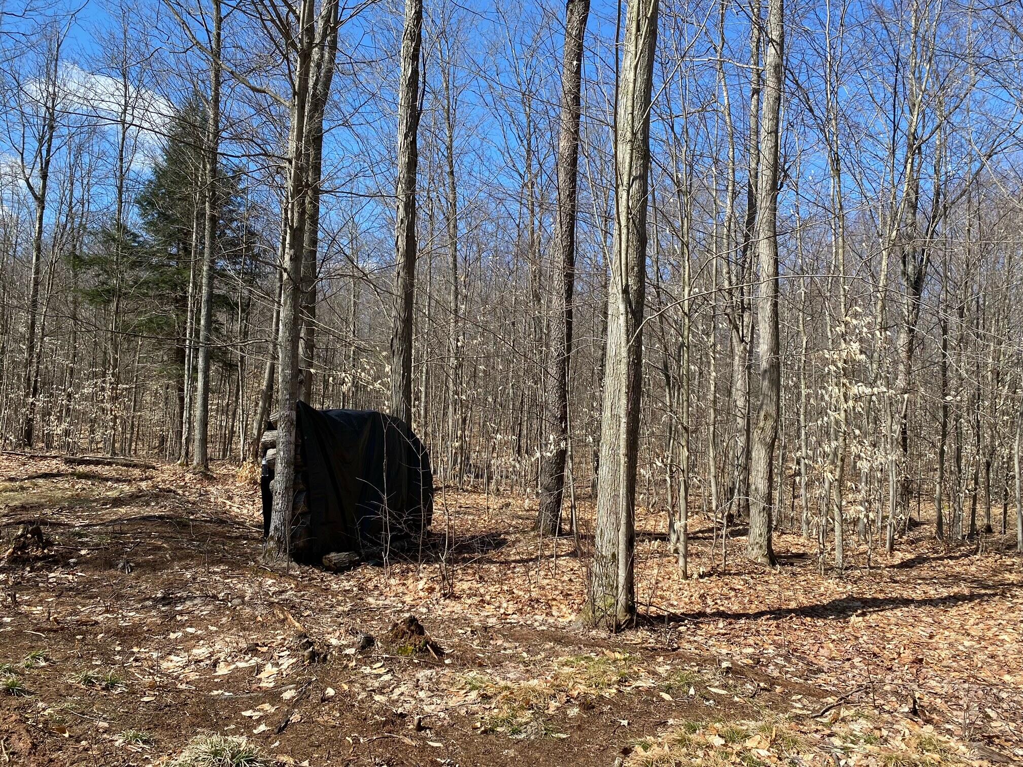 4810 East 28 Road Cadillac, MI 49601 - Photo 23 of 35 hunting blind