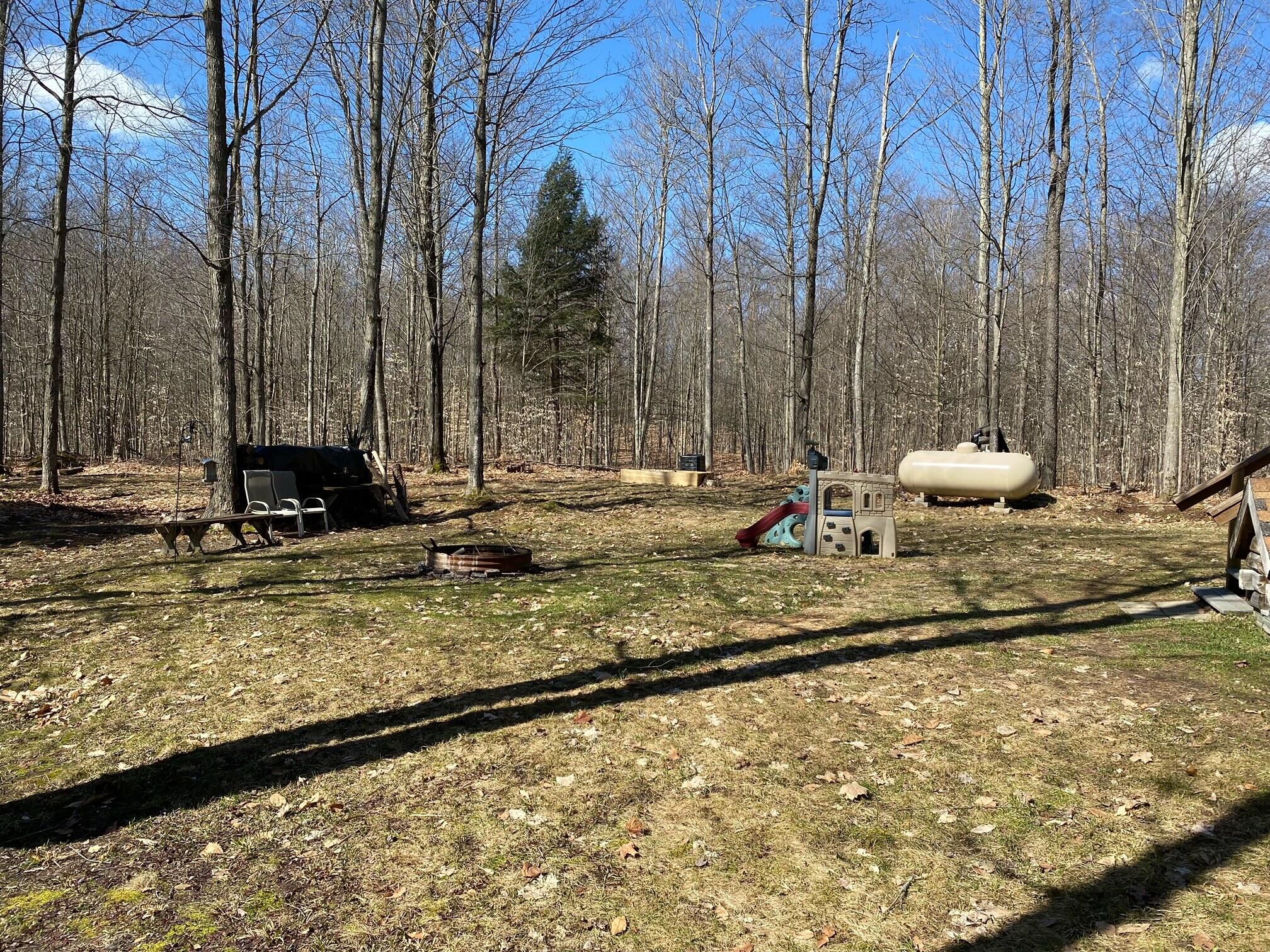 4810 East 28 Road Cadillac, MI 49601 - Photo 25 of 35 yard