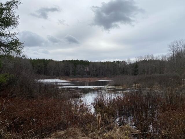 4810 East 28 Road Cadillac, MI 49601 - Photo 26 of 35 1