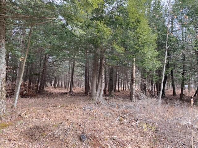 4810 East 28 Road Cadillac, MI 49601 - Photo 29 of 35 2