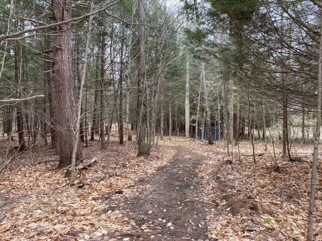 4810 East 28 Road Cadillac, MI 49601 - Photo 31 of 35 5