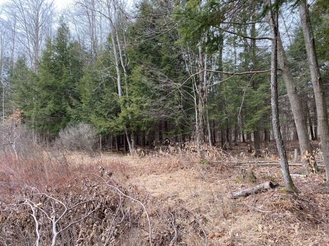 4810 East 28 Road Cadillac, MI 49601 - Photo 33 of 35 7