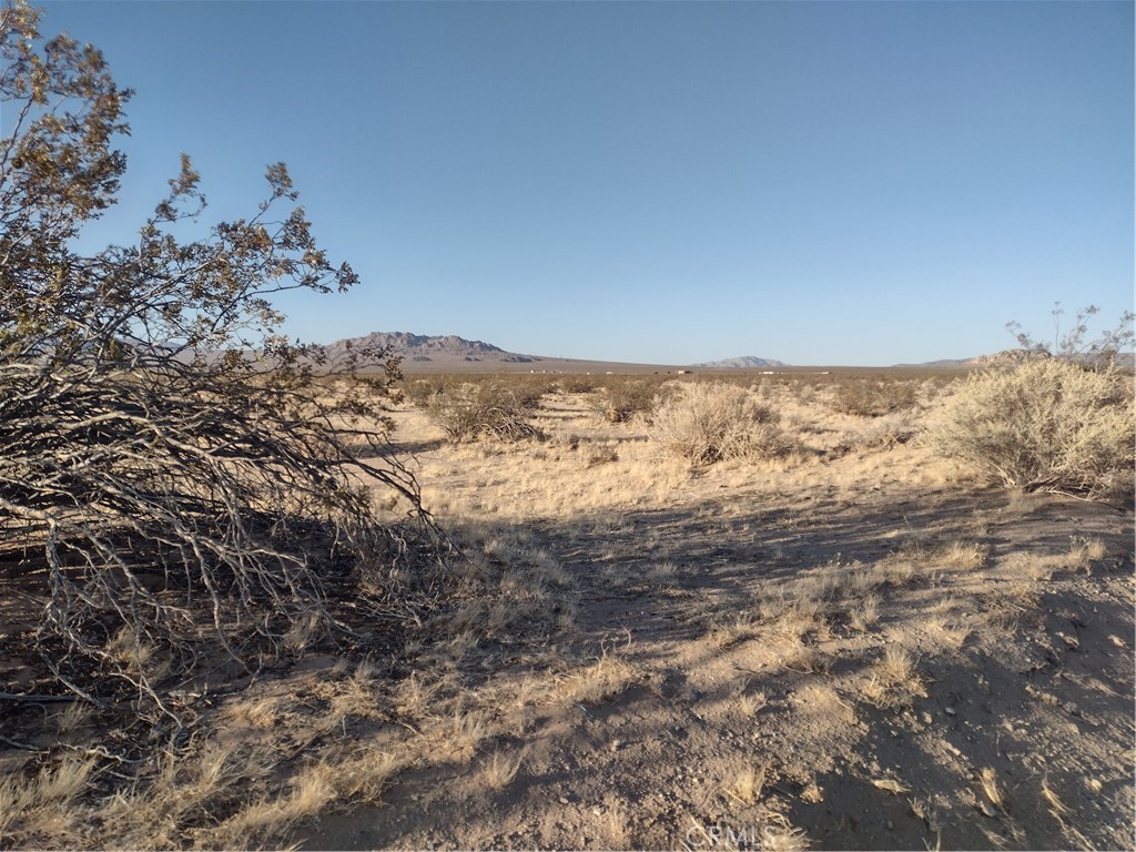 100 Northside Road Lucerne Valley, CA 92356 - Photo 1 of 1 Gallery Image 1