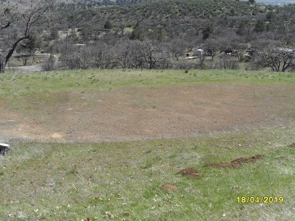 599 Rabbit Place Hornbrook, CA 96044 - Photo 7 of 8 Gallery Image 7