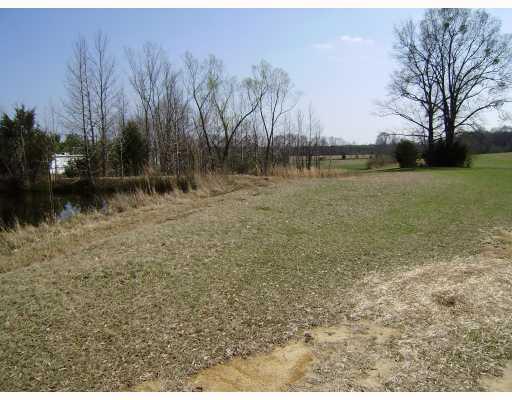 0 Hobuck Track Highway Ridgeland, MS 39157 - Photo 3 of 8 Gallery Image 3