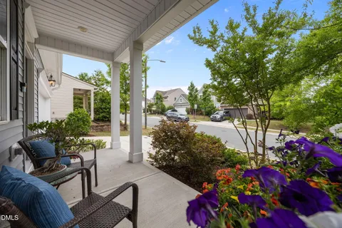 a potted plant sitting in front of a house