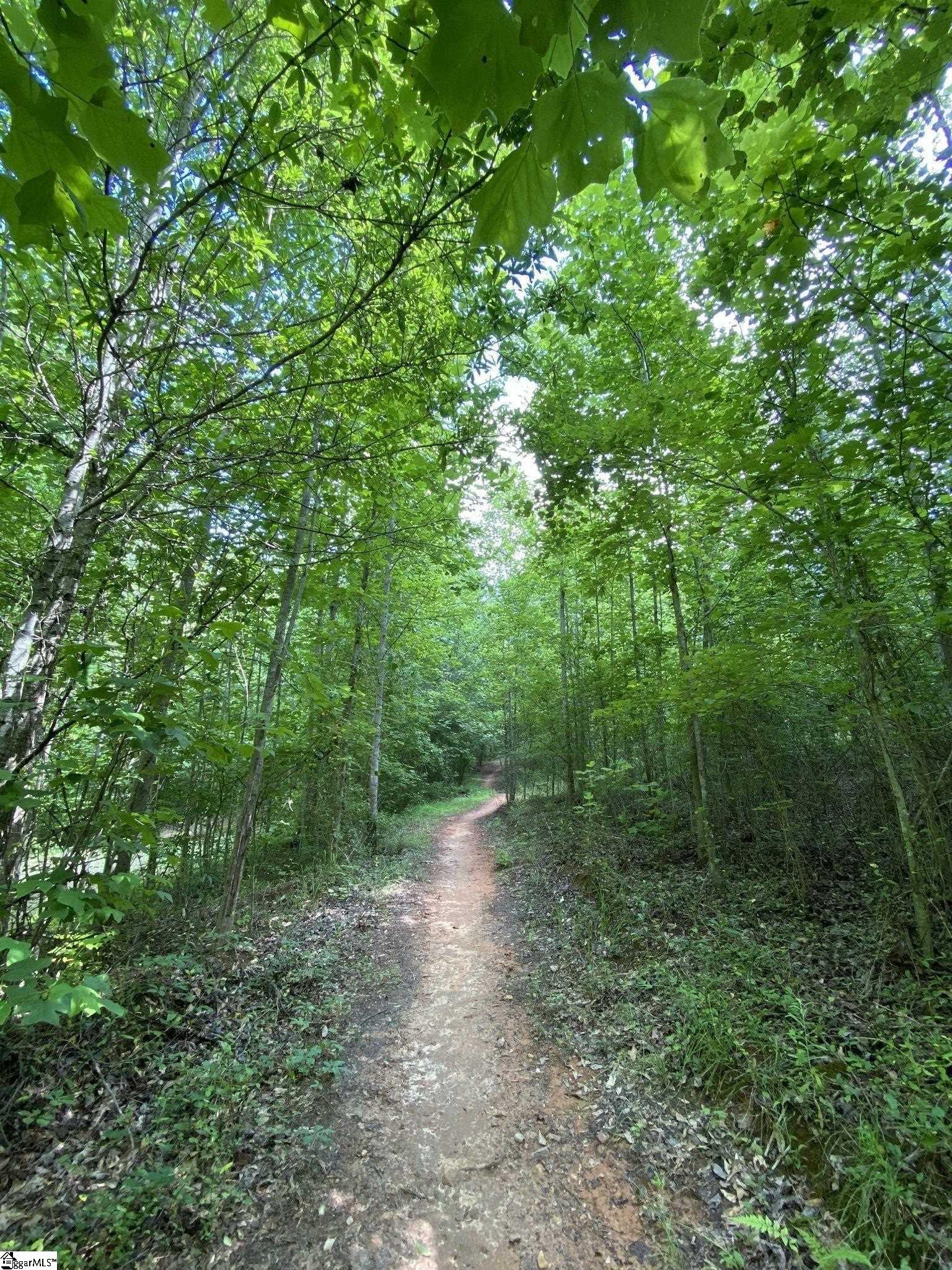 515 New Cut Meadows Road, Unit HOMESITE 04 Inman, SC 29349 - Photo 8 of 11