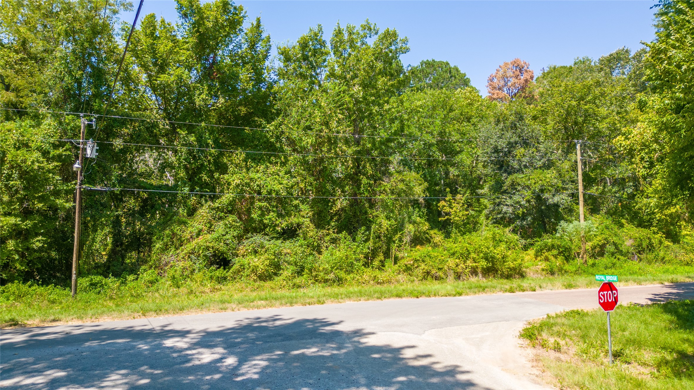 Tbd Royal Creek Road Conroe, TX 77303 - Photo 4 of 11