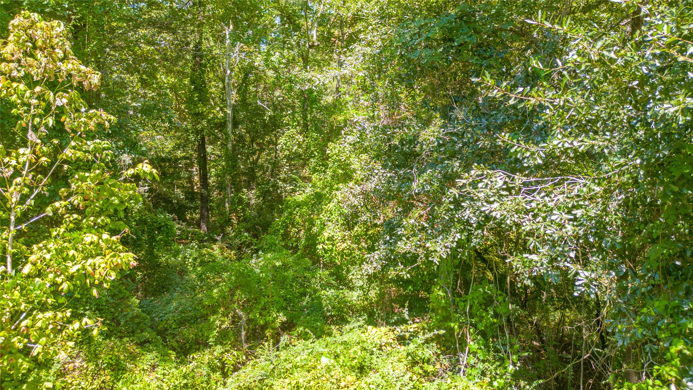 Tbd Royal Creek Road Conroe, TX 77303 - Photo 7 of 11