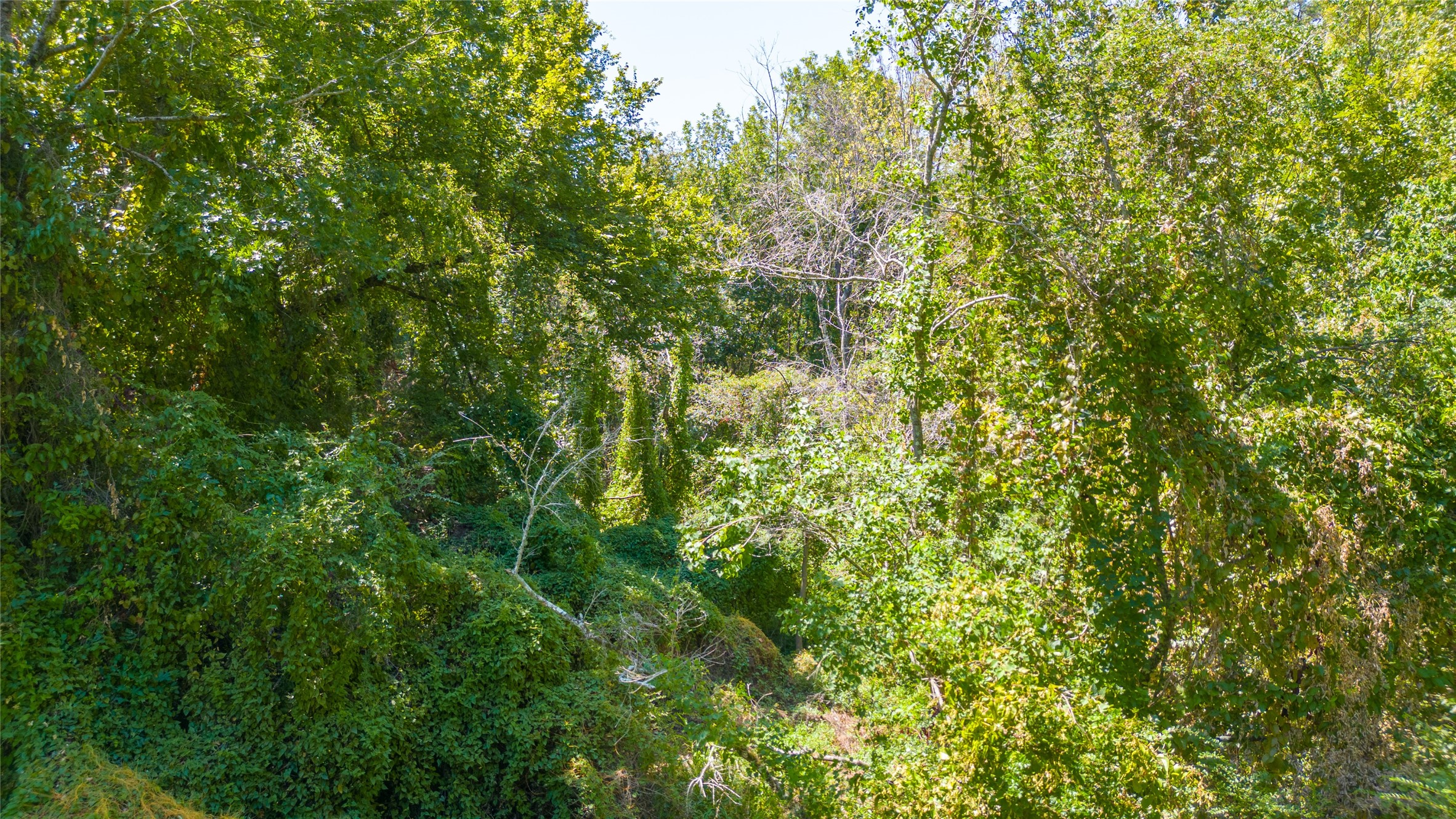 Tbd Royal Creek Road Conroe, TX 77303 - Photo 8 of 11