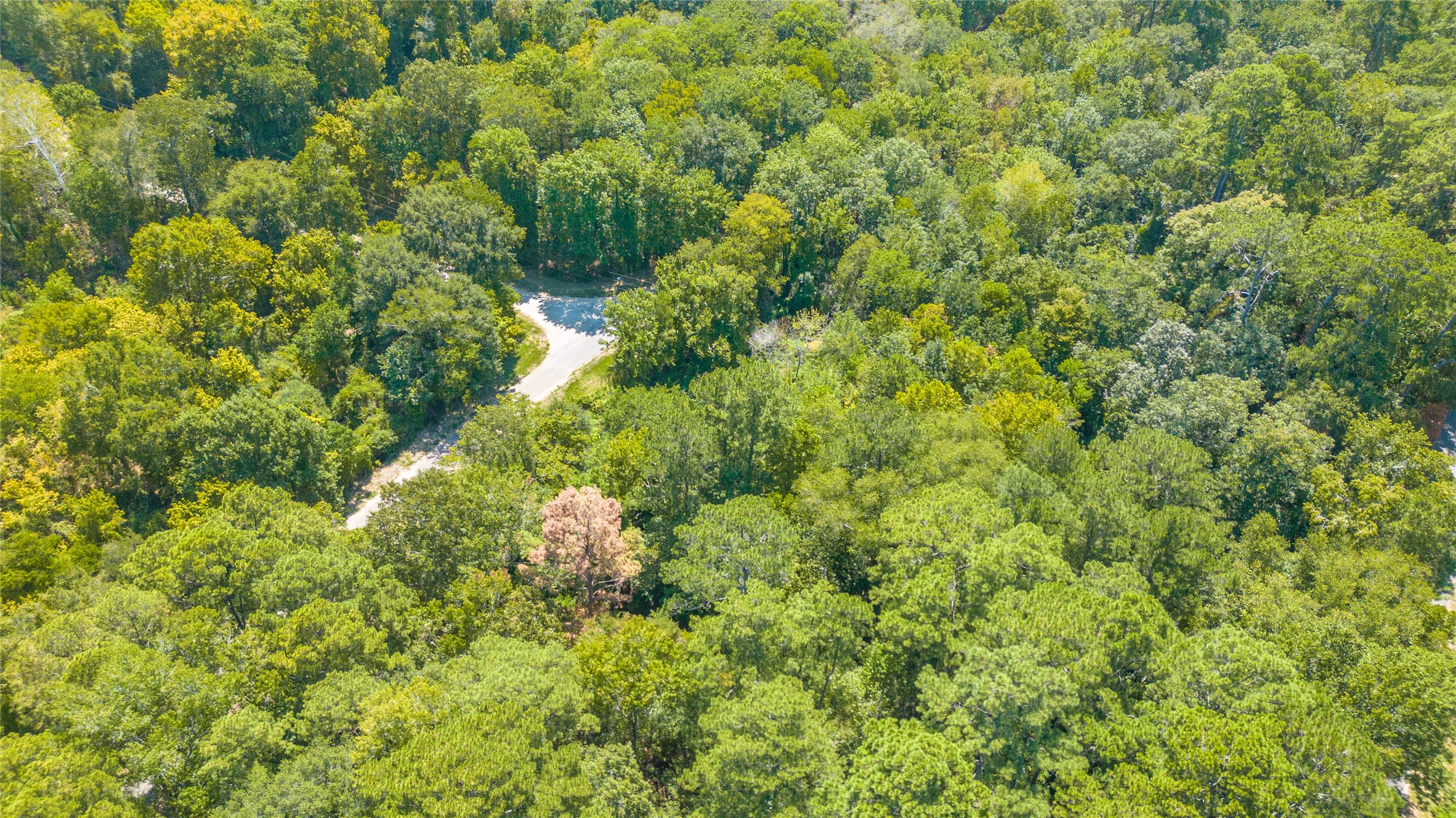 Tbd Royal Creek Road Conroe, TX 77303 - Photo 9 of 11
