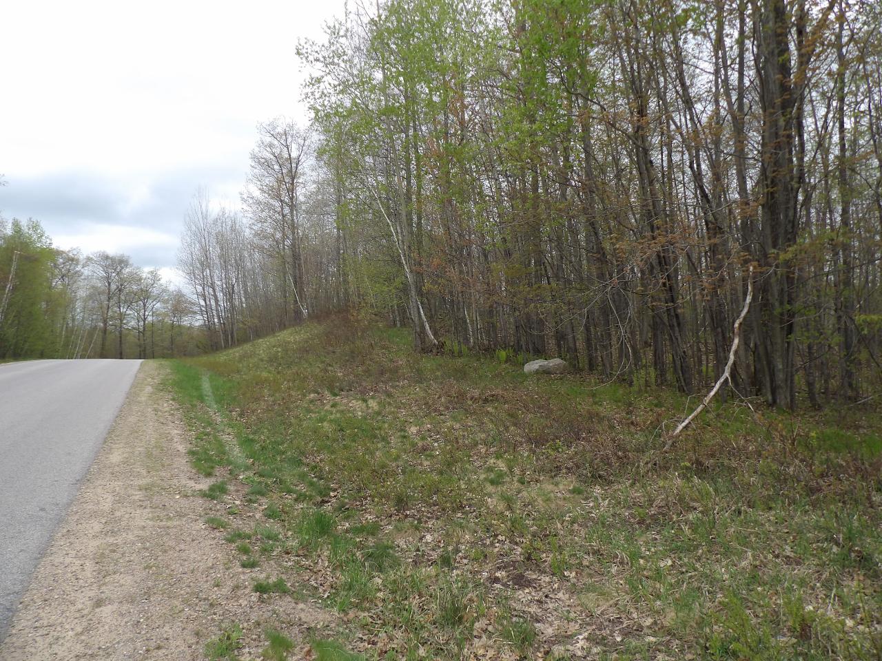Lot 64 Pine Grove Drive Rhinelander, WI 54501 - Photo 5 of 13 Gallery Image 5