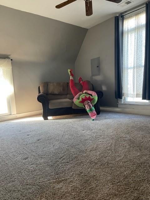 407 Walnut Street Greenfield, IN 46140 - Photo 37 of 54