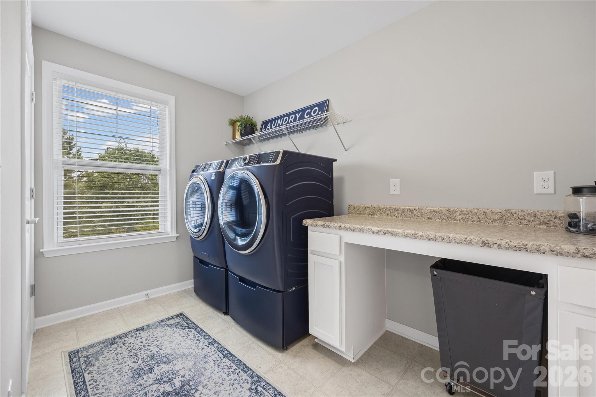 3703 Jacinta Court Tega Cay, SC 29708 - Photo 33 of 48