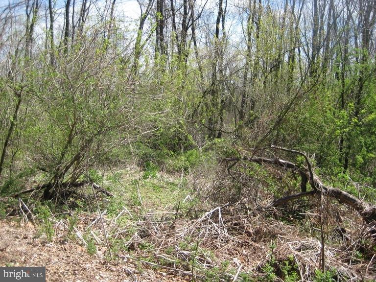 Heilmandale Road Lebanon, PA 17046 - Photo 2 of 9 Gallery Image 2
