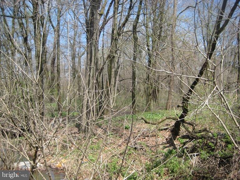 Heilmandale Road Lebanon, PA 17046 - Photo 3 of 9 Gallery Image 3