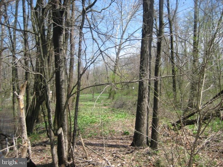 Heilmandale Road Lebanon, PA 17046 - Photo 4 of 9 Gallery Image 4